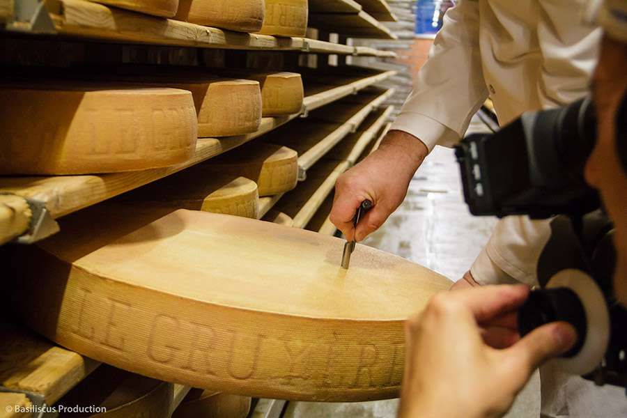 Reifegradprüfung Käse