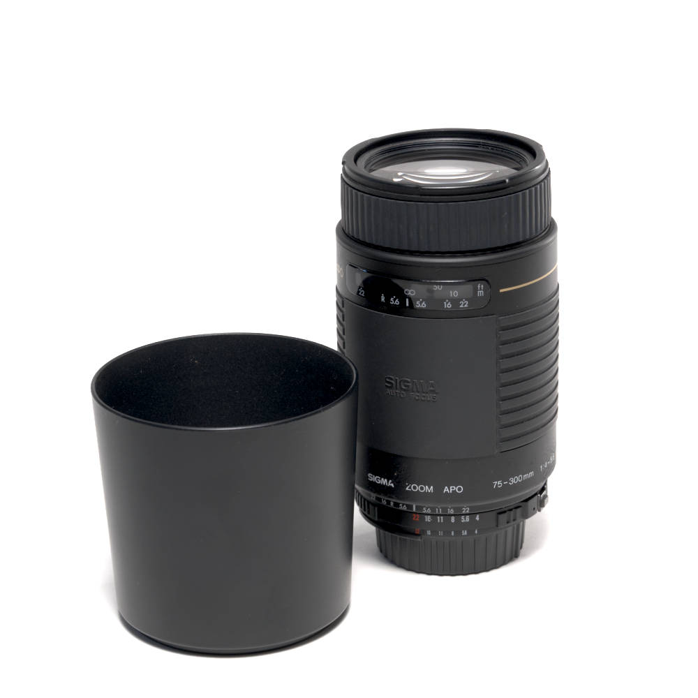 AF-S SIGMA 75-300 mm f4-5.6 in Berlin mieten