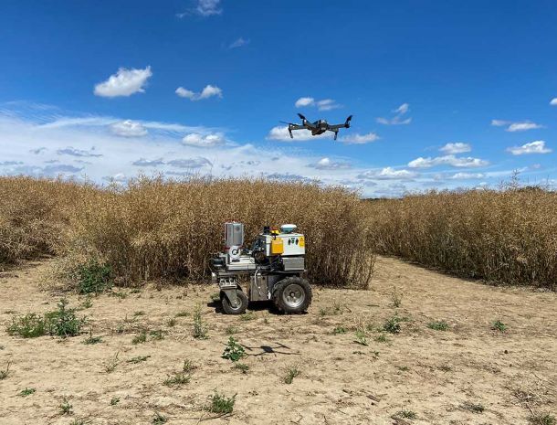 Versuchsfeld Drohne Projekt PORTAL Landwirtschaft