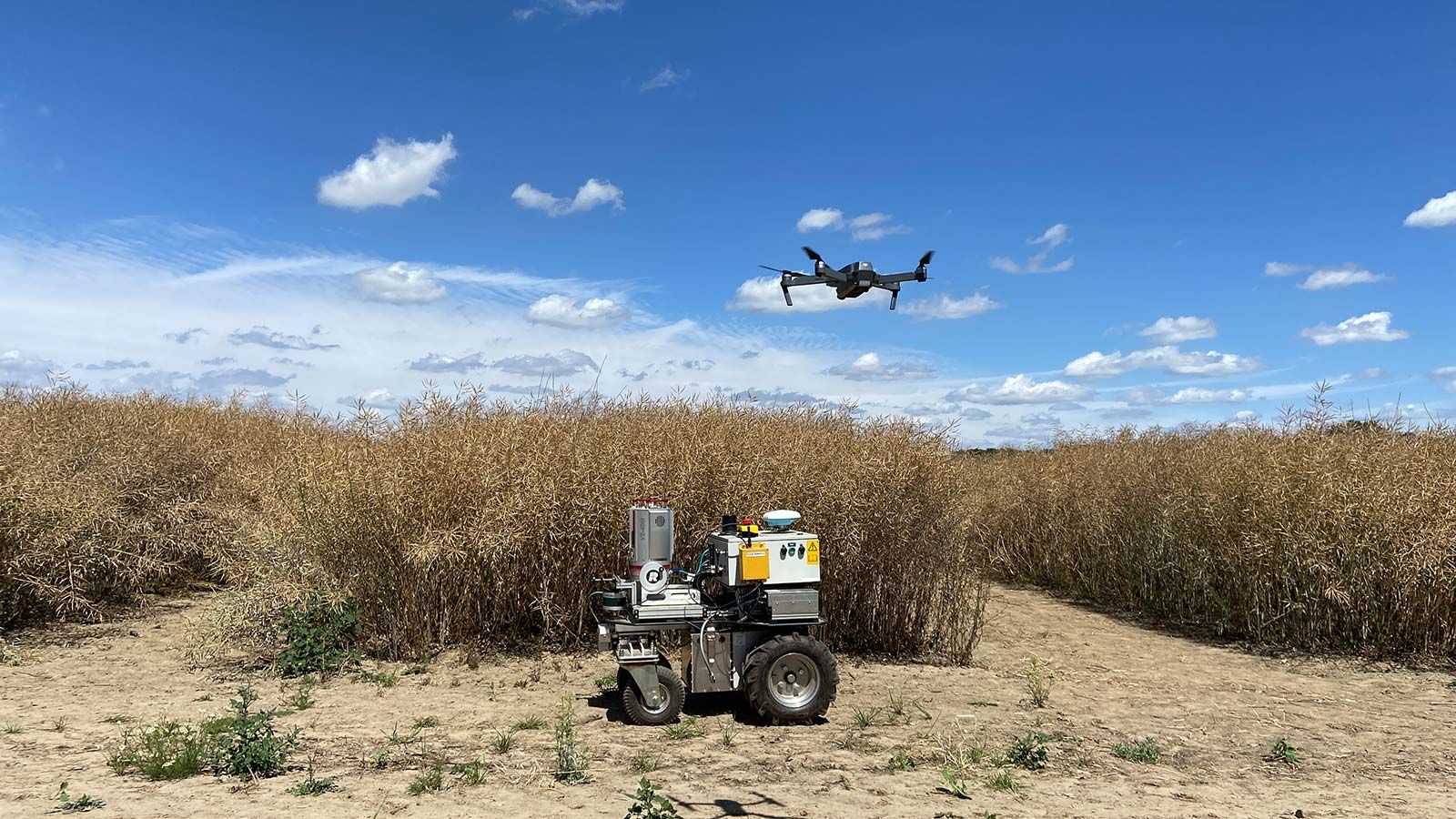 Drohne Portal KI Landwirtschaft